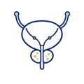 Endourologie, Proceduri endoscopice avansate